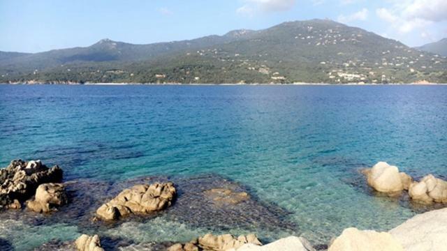 Magnifique Appartement Devant La Plage Propriano  Zewnętrze zdjęcie